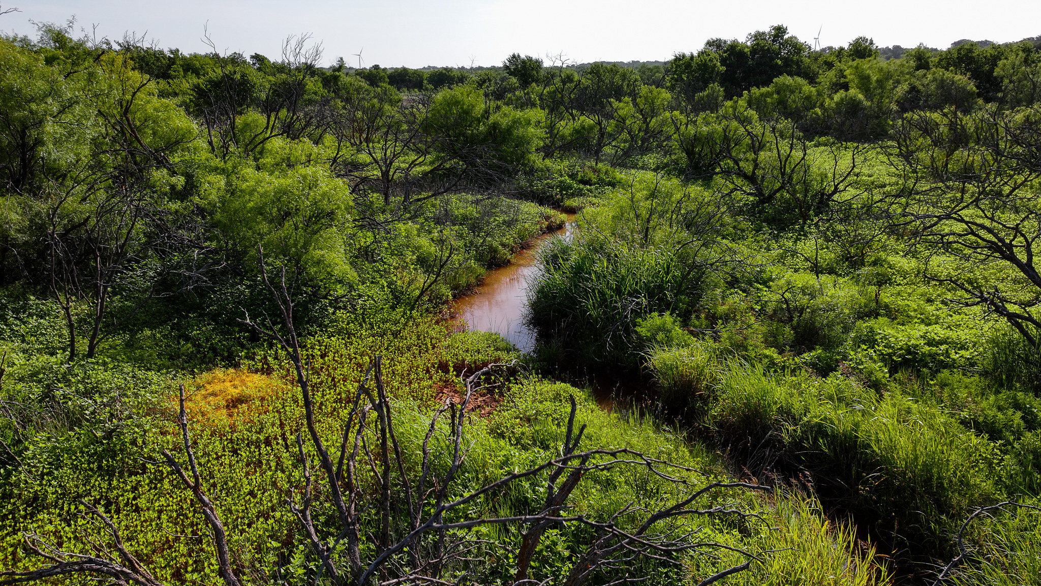 45 ac Hunting/Ranch/Residential Property in Archer County, Texas