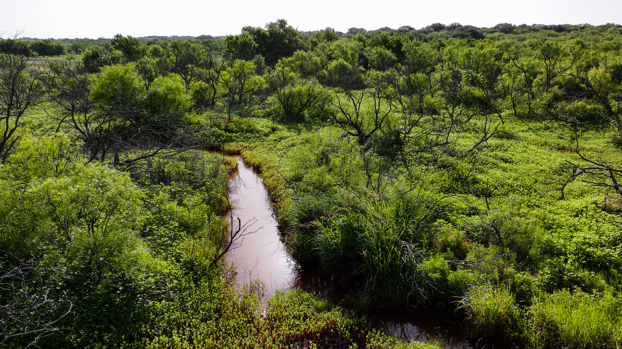 45 ac Hunting/Ranch/Residential Property in Archer County, Texas