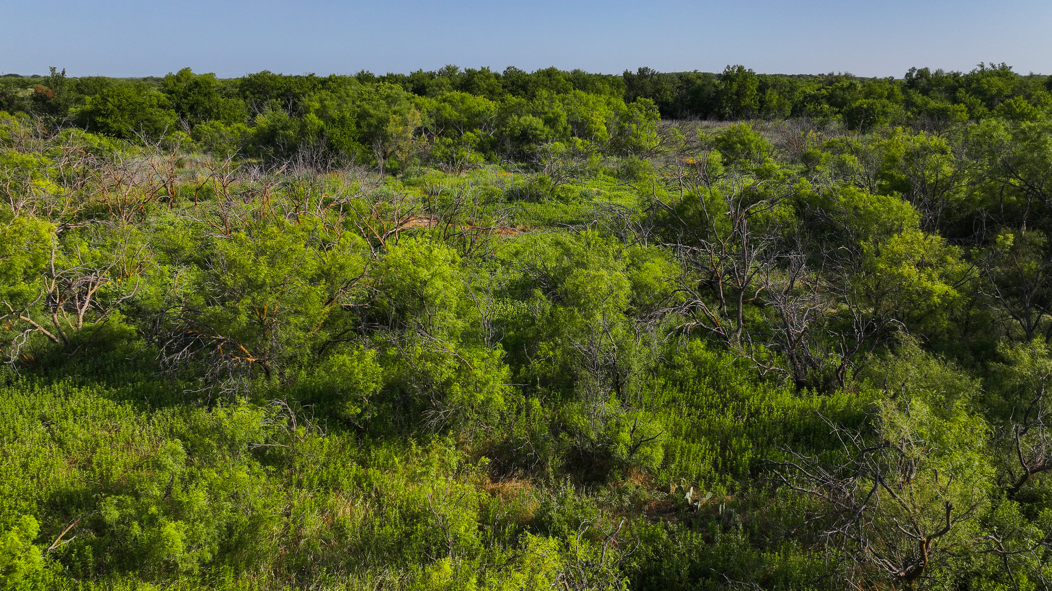 45 ac Hunting/Ranch/Residential Property in Archer County, Texas