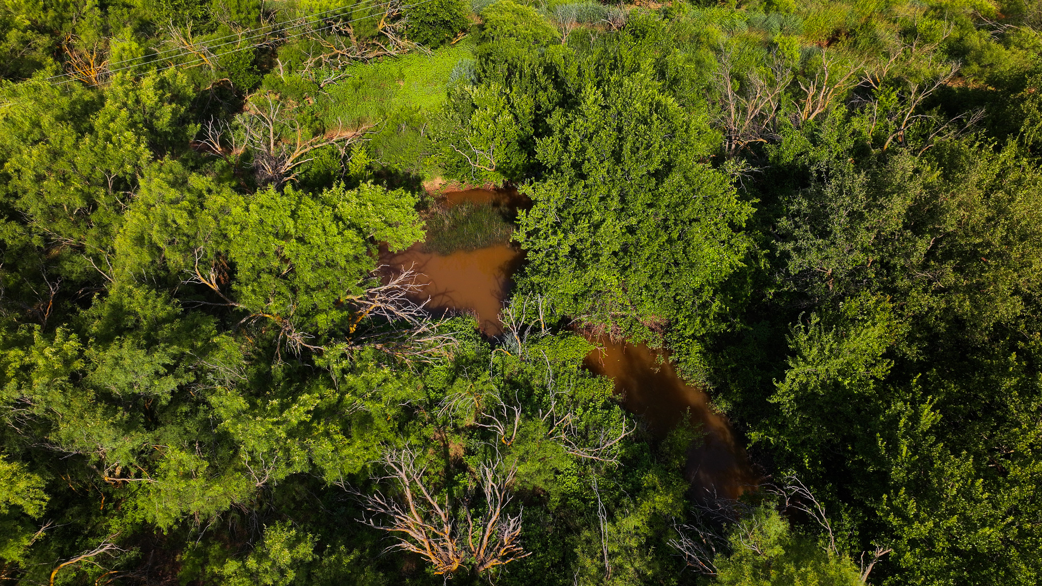 45 ac Hunting/Ranch/Residential Property in Archer County, Texas