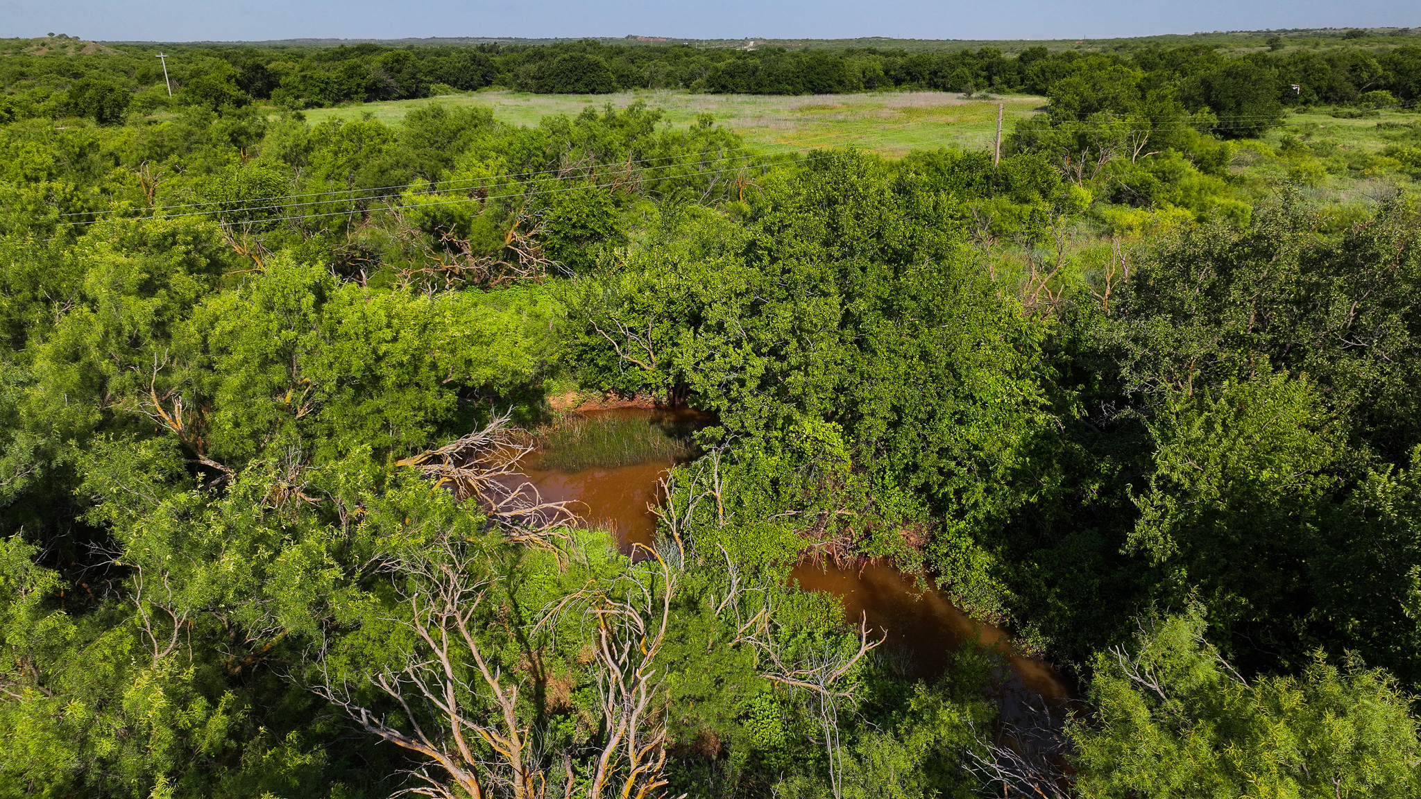 45 ac Hunting/Ranch/Residential Property in Archer County, Texas