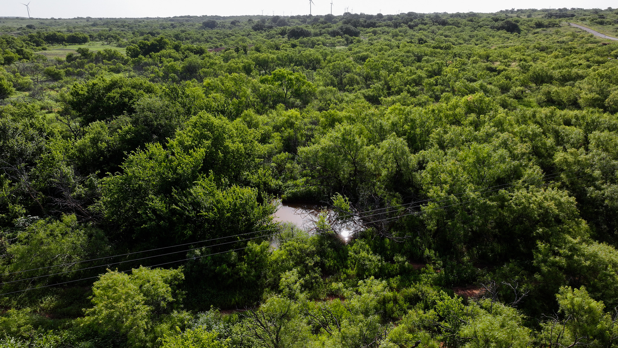 45 ac Hunting/Ranch/Residential Property in Archer County, Texas