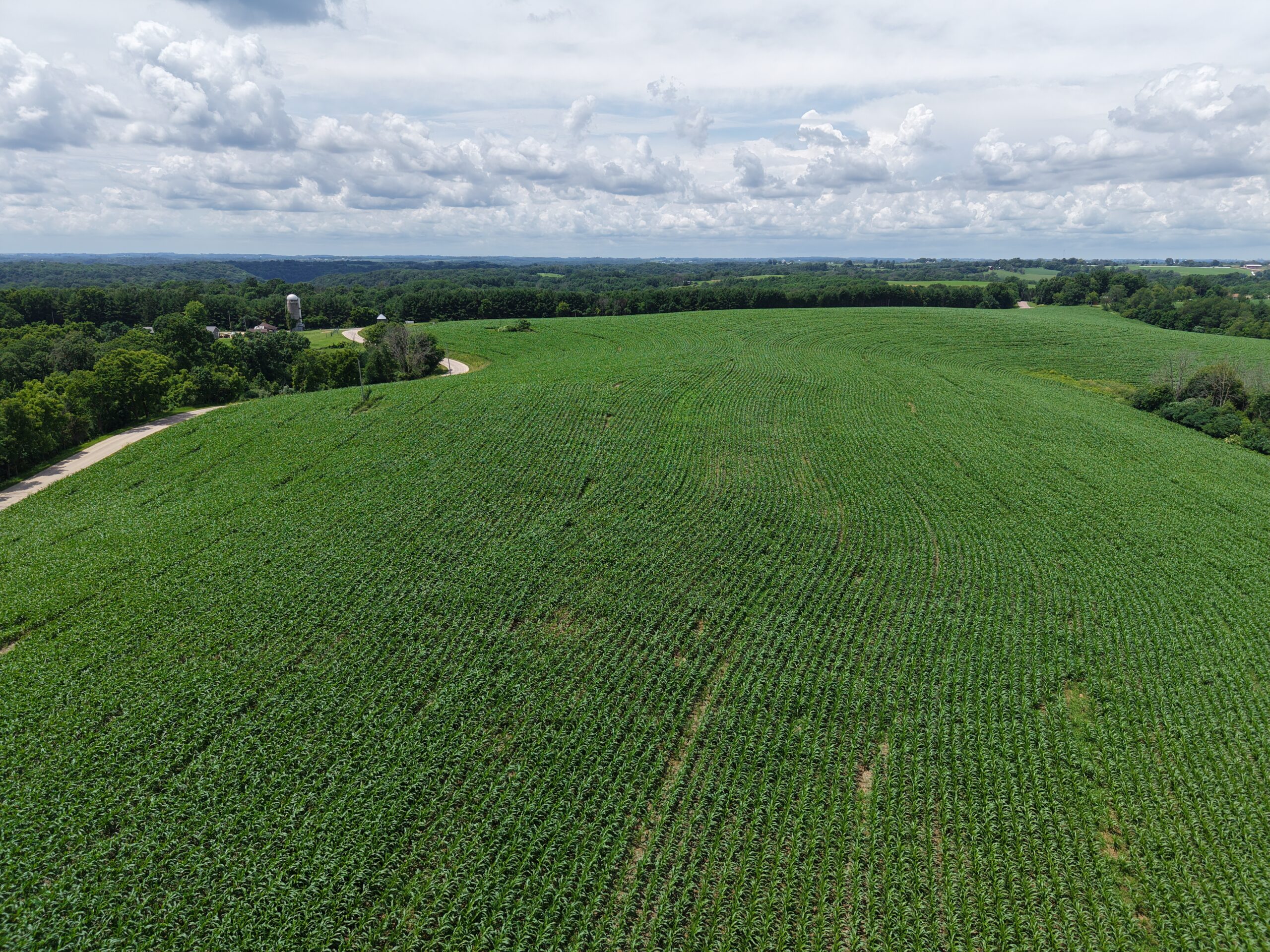 60.07 Acres of Ridgetop Land 45-acres Tillable & 14-Acres Woods