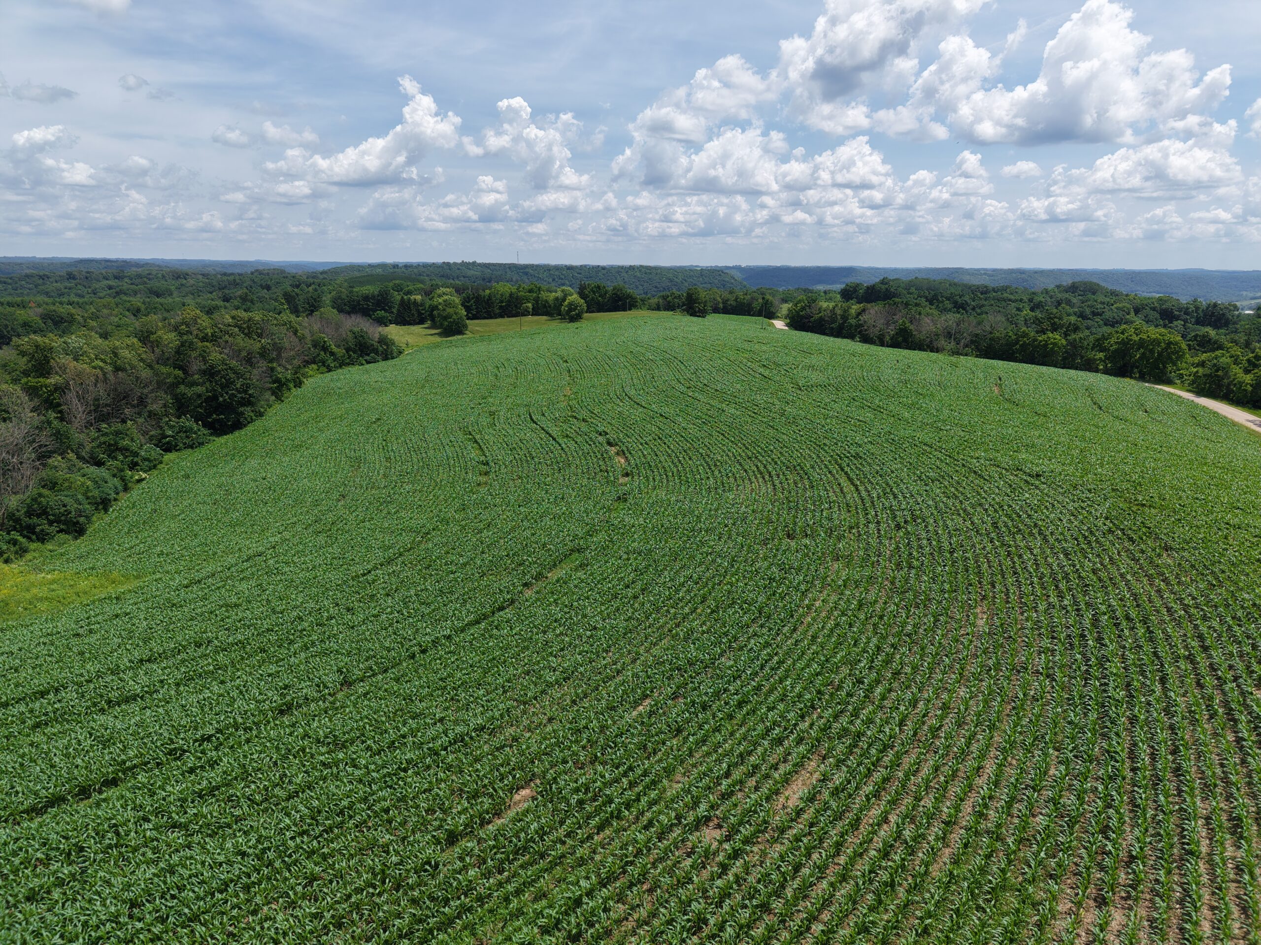 60.07 Acres of Ridgetop Land 45-acres Tillable & 14-Acres Woods