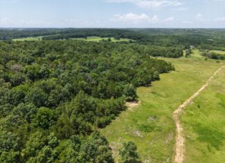 LAND FOR SALE IN NORTH CENTRAL ARKANSAS