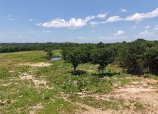 LAND FOR SALE IN NORTH CENTRAL ARKANSAS