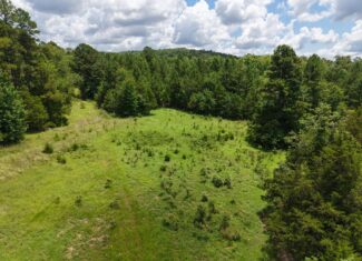 LAND FOR SALE IN THE OZARK MOUNTAINS OF ARKANSAS