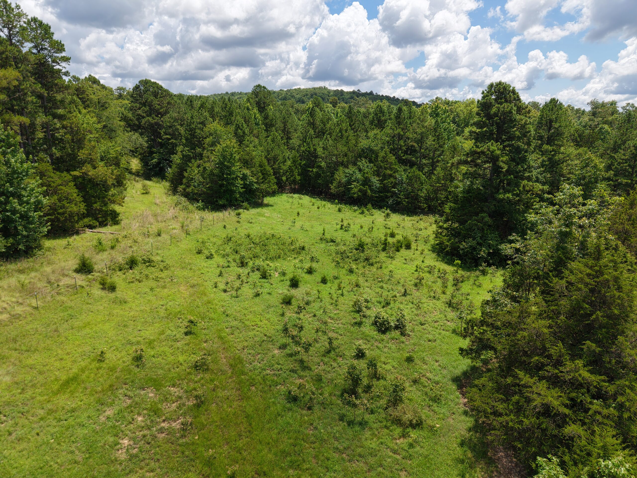 LAND FOR SALE IN THE OZARK MOUNTAINS OF ARKANSAS