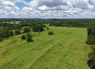 LAND FOR SALE IN THE OZARK MOUNTAINS OF ARKANSAS