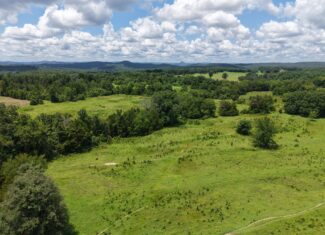 LAND FOR SALE IN THE OZARK MOUNTAINS OF ARKANSAS