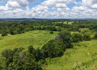 LAND FOR SALE IN THE OZARK MOUNTAINS OF ARKANSAS