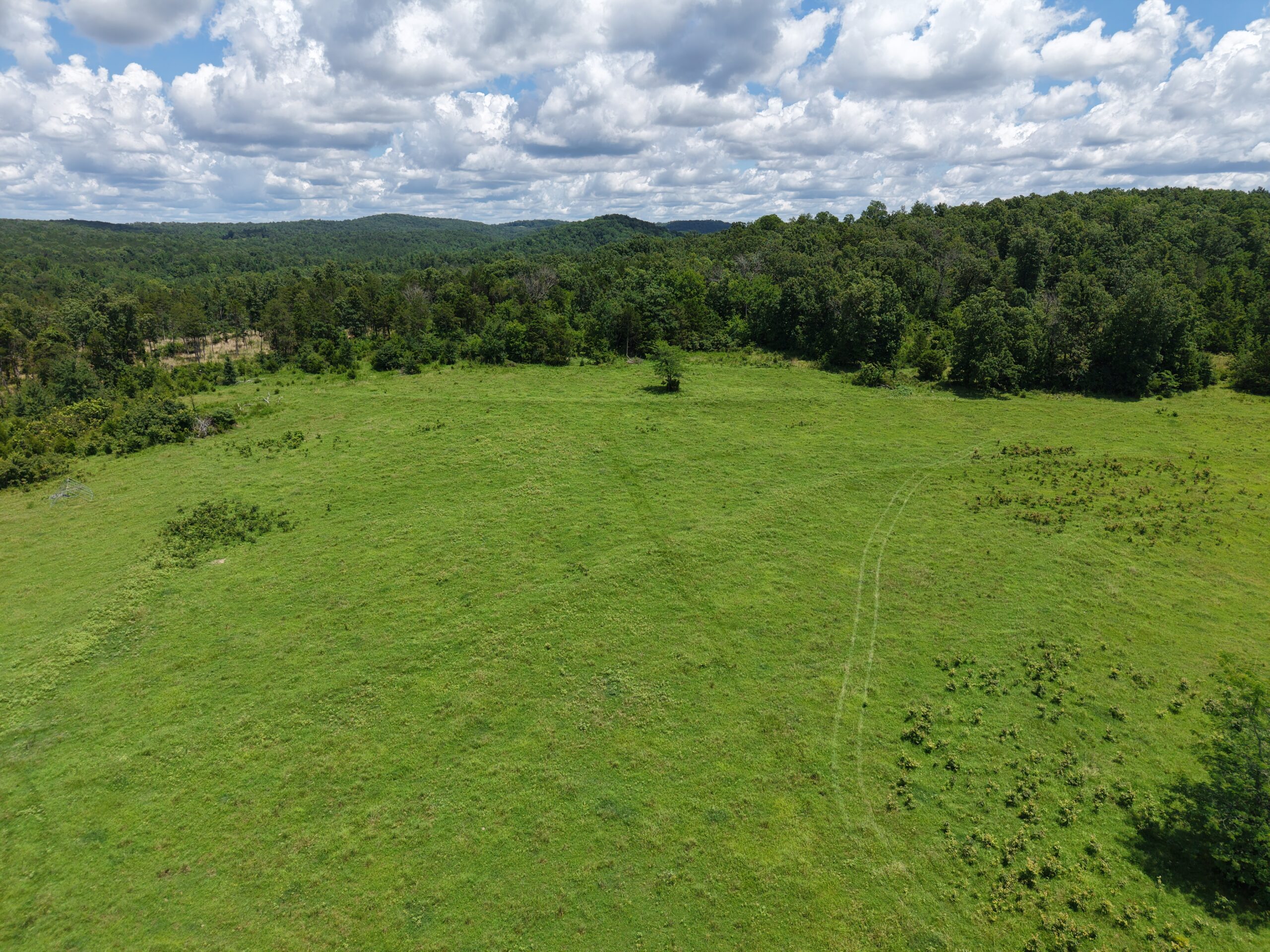 LAND FOR SALE IN THE OZARK MOUNTAINS OF ARKANSAS