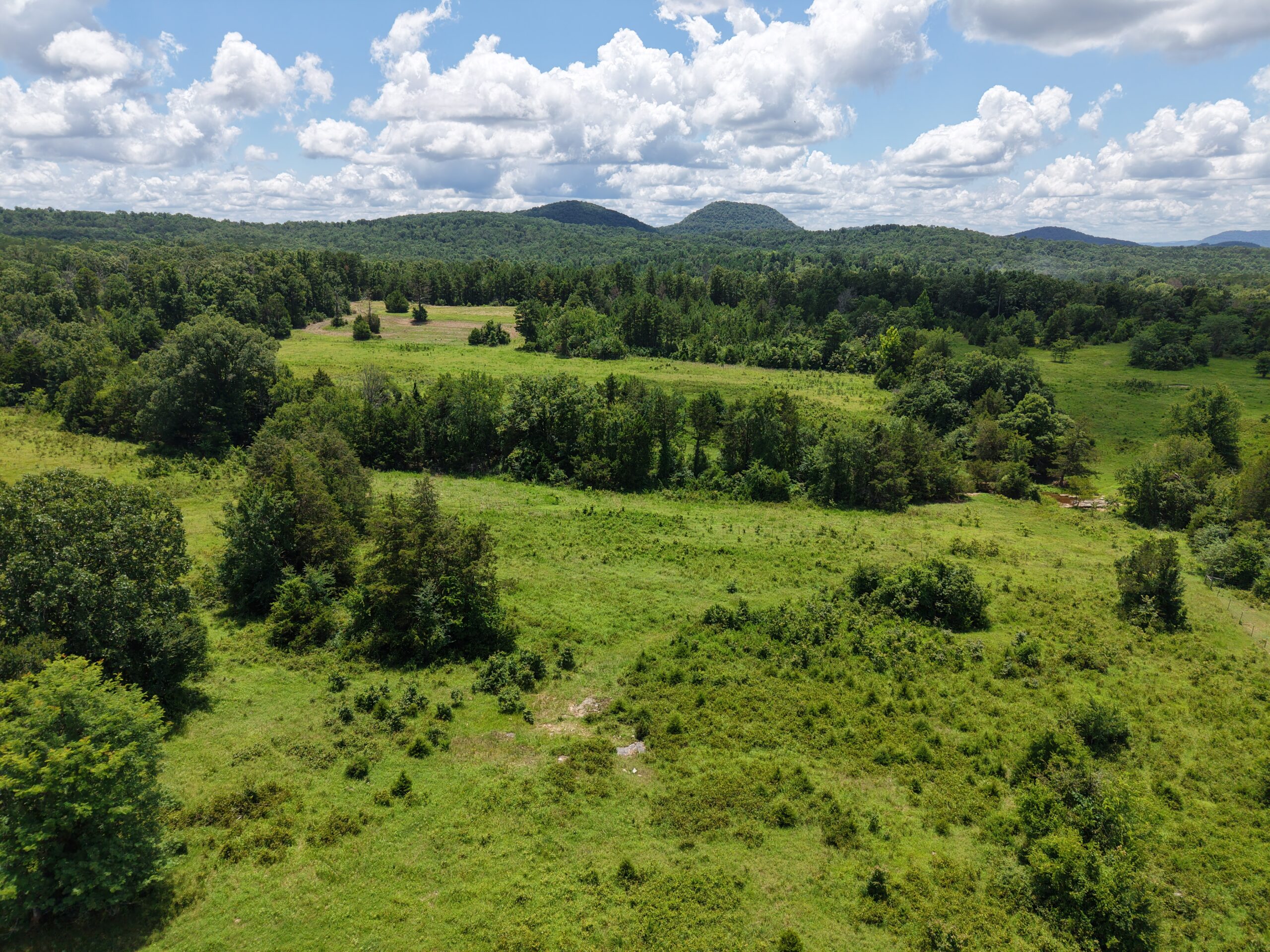 LAND FOR SALE IN THE OZARK MOUNTAINS OF ARKANSAS