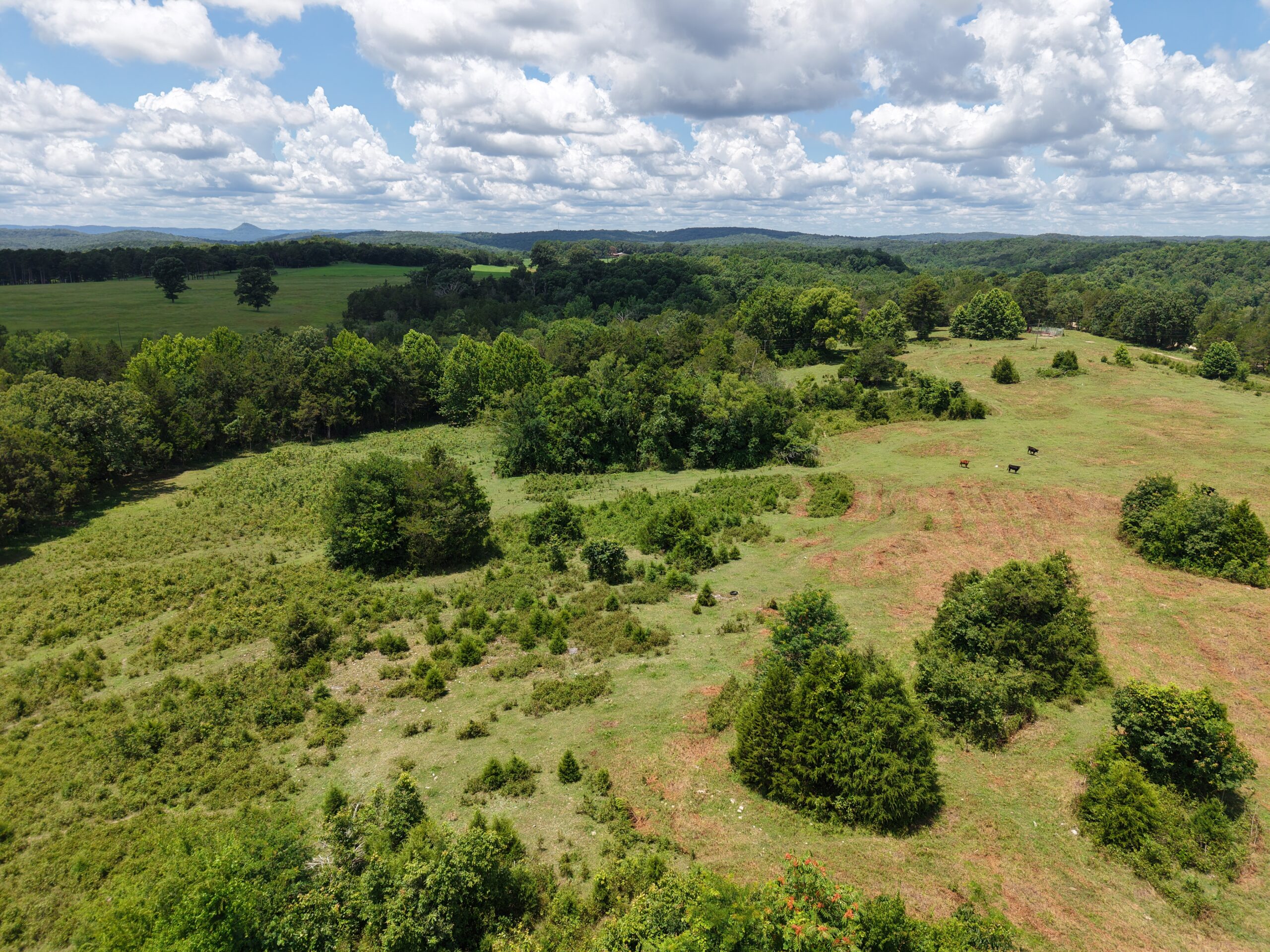LAND FOR SALE IN THE OZARK MOUNTAINS OF ARKANSAS