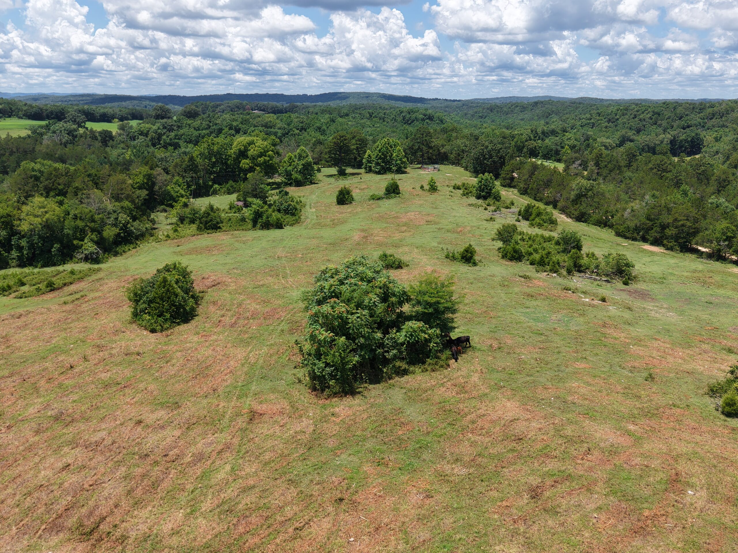 LAND FOR SALE IN THE OZARK MOUNTAINS OF ARKANSAS