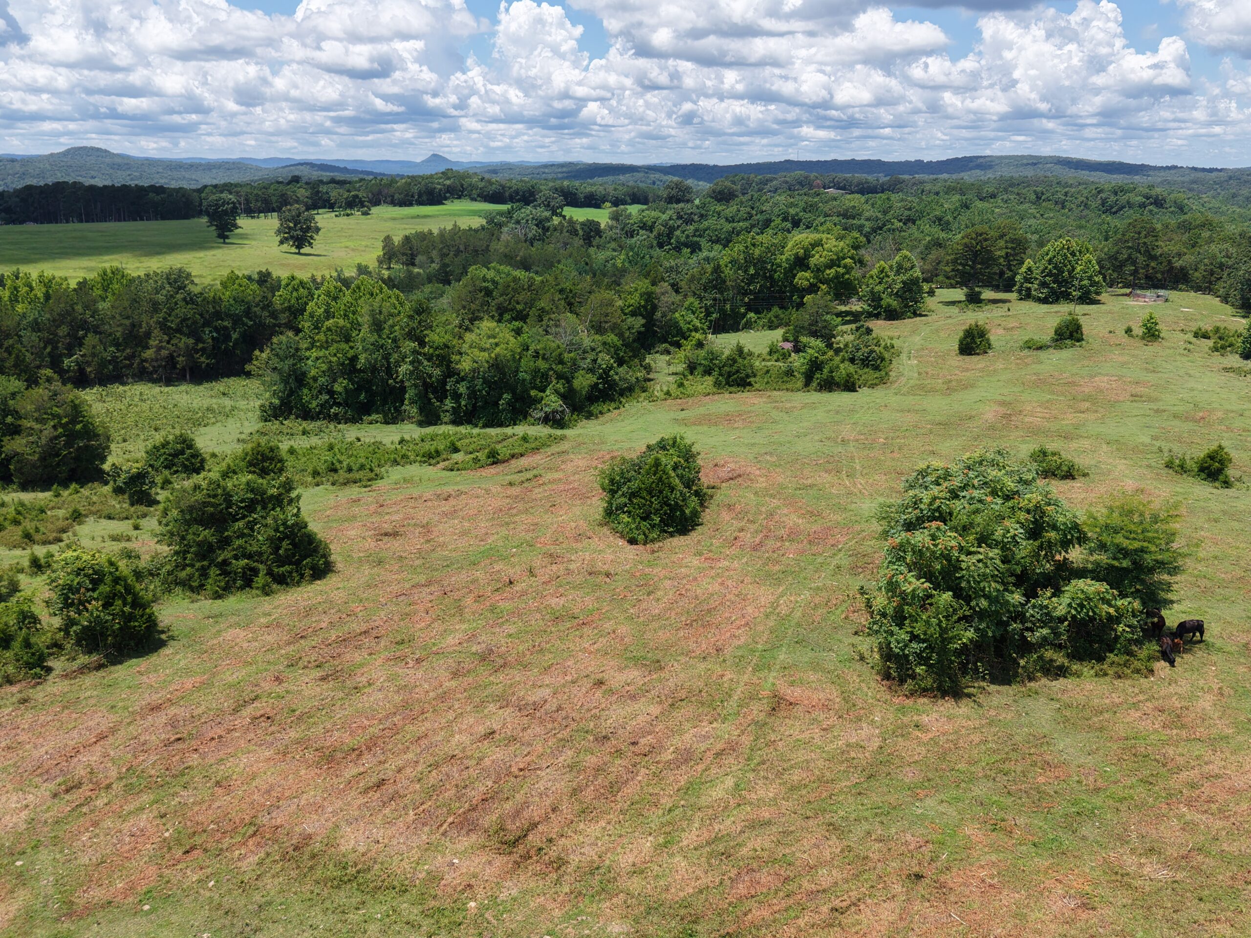 LAND FOR SALE IN THE OZARK MOUNTAINS OF ARKANSAS