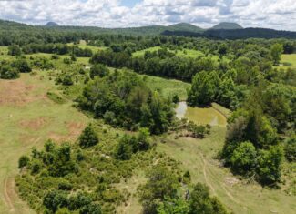 LAND FOR SALE IN THE OZARK MOUNTAINS OF ARKANSAS