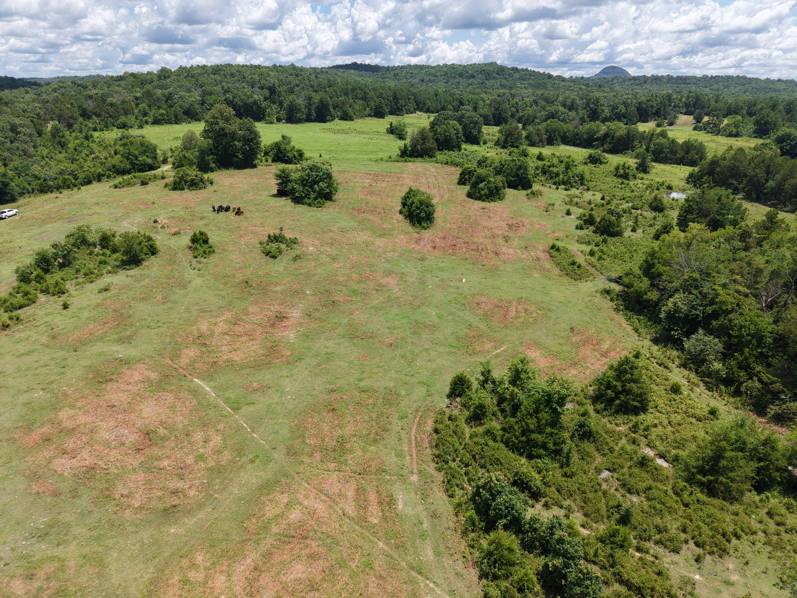 LAND FOR SALE IN THE OZARK MOUNTAINS OF ARKANSAS