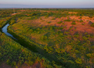 Potential High Income Producing Ranch in Hardeman County