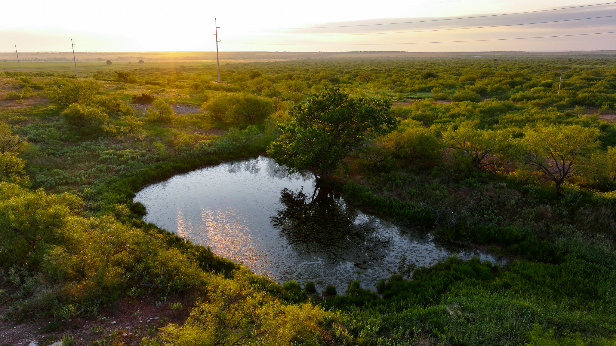 Potential High Income Producing Ranch in Hardeman County