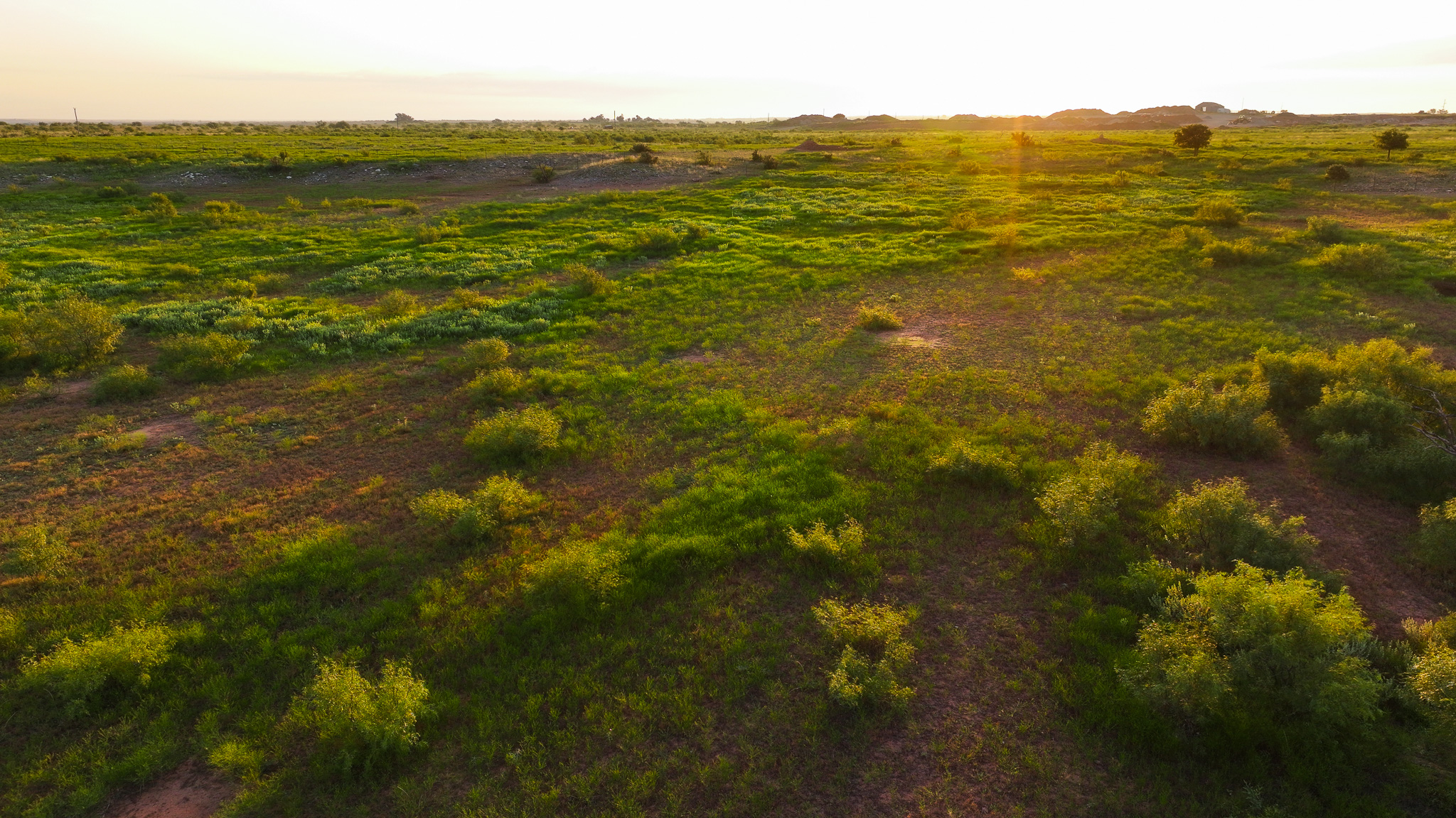 Potential High Income Producing Ranch in Hardeman County