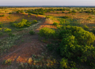 Potential High Income Producing Ranch in Hardeman County