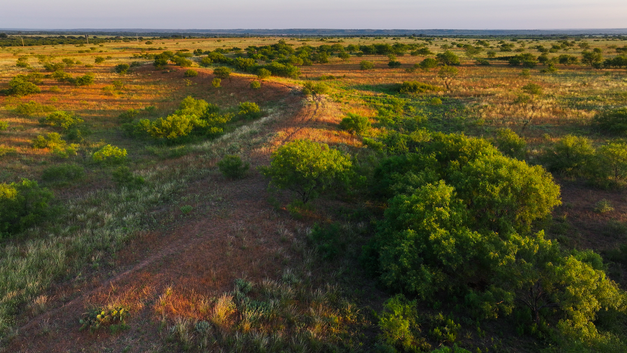 Potential High Income Producing Ranch in Hardeman County