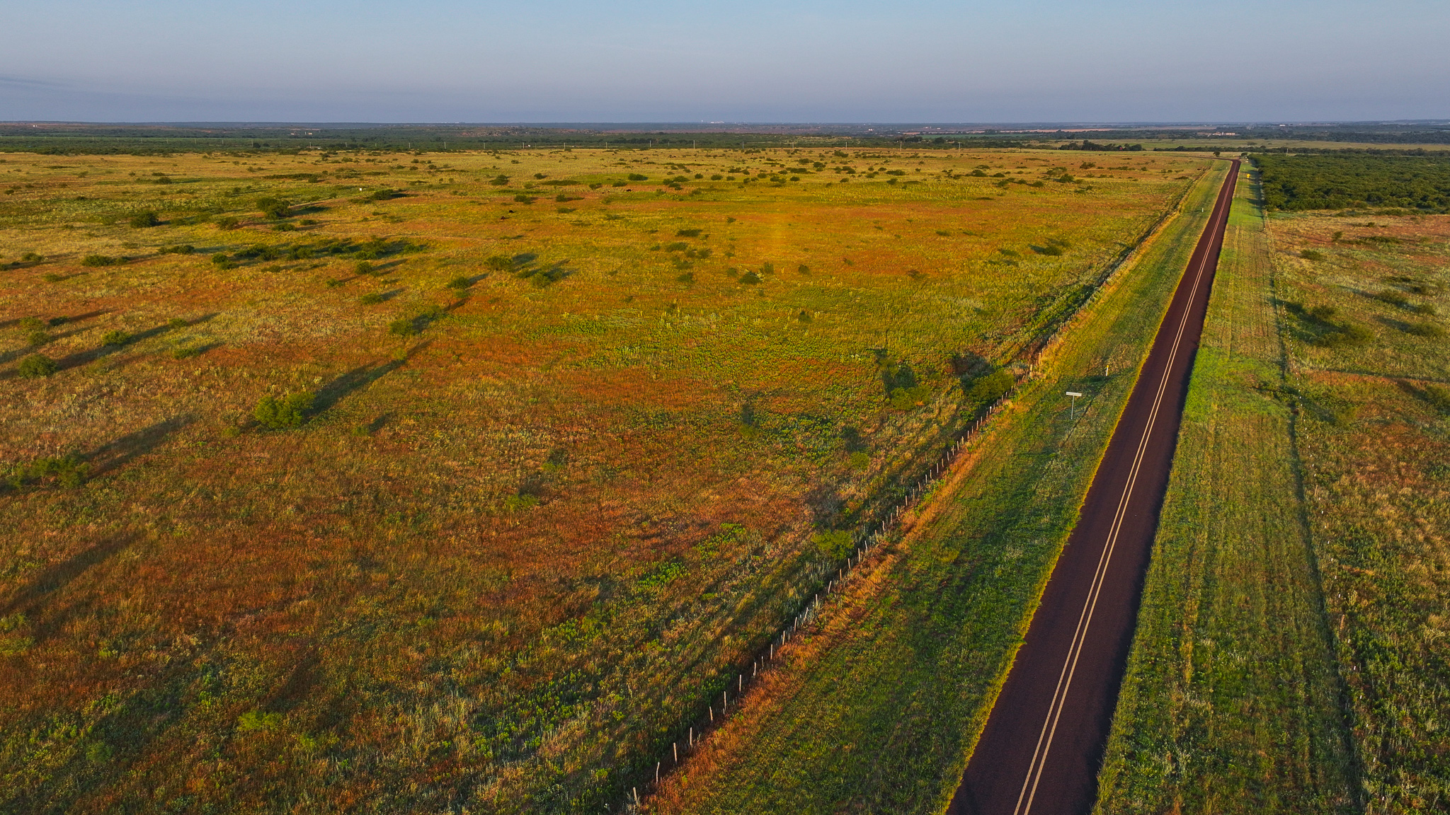 Potential High Income Producing Ranch in Hardeman County
