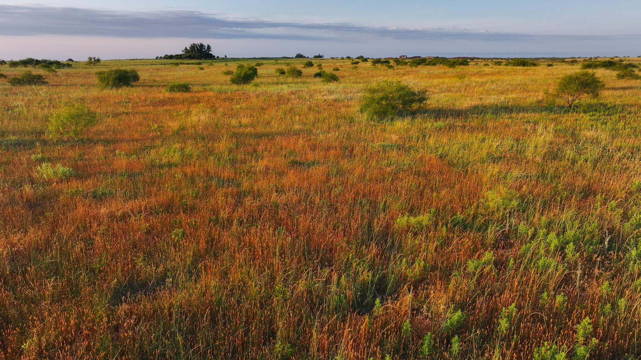 Potential High Income Producing Ranch in Hardeman County