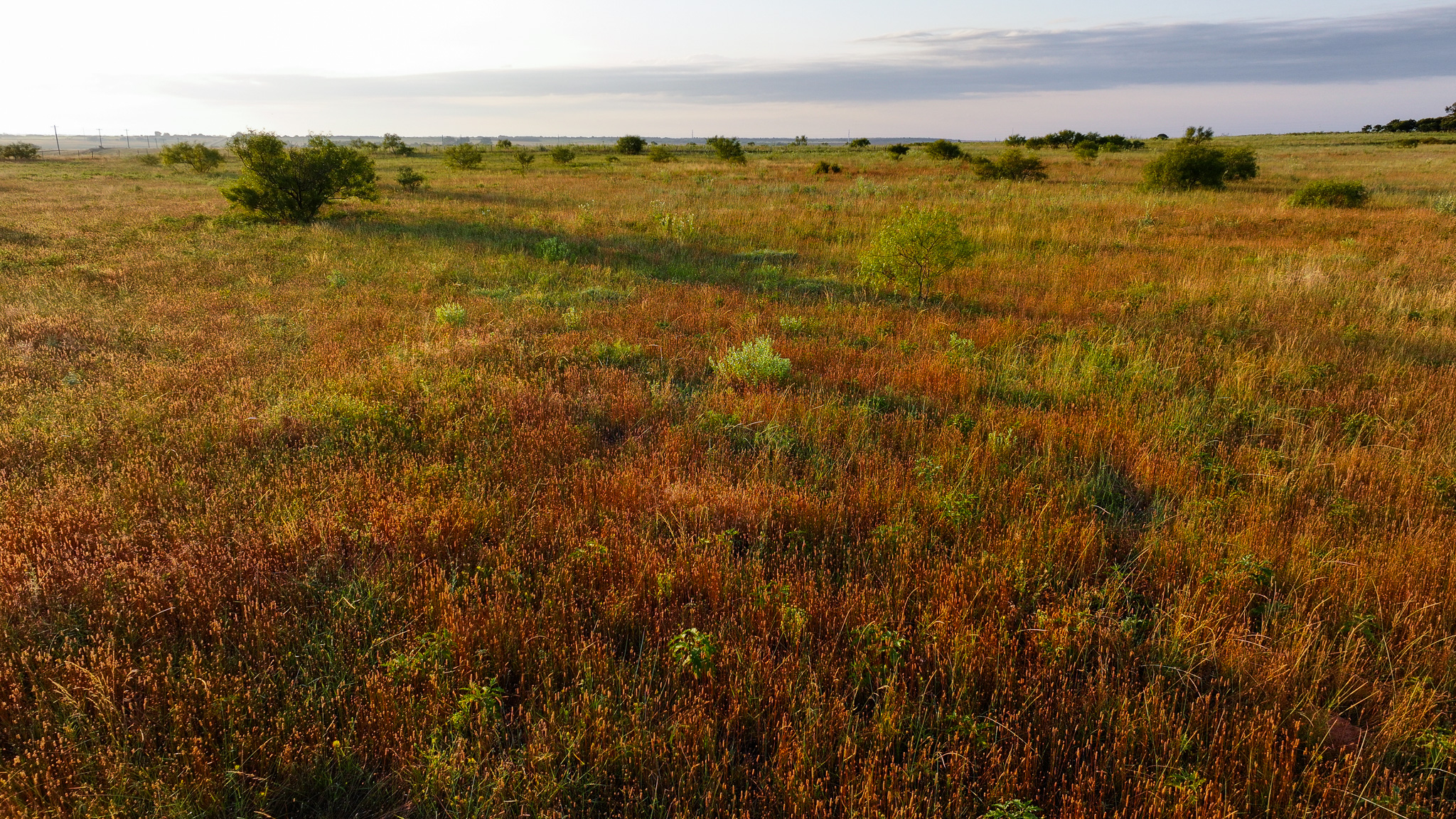 Potential High Income Producing Ranch in Hardeman County