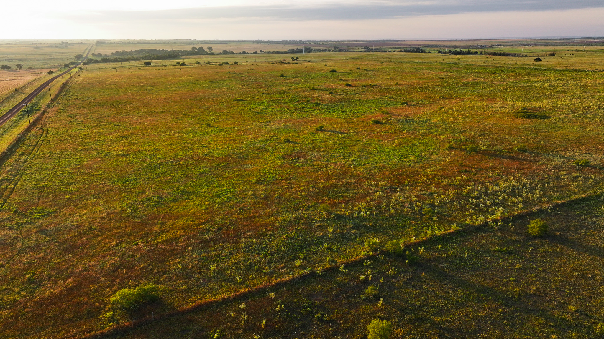 Potential High Income Producing Ranch in Hardeman County