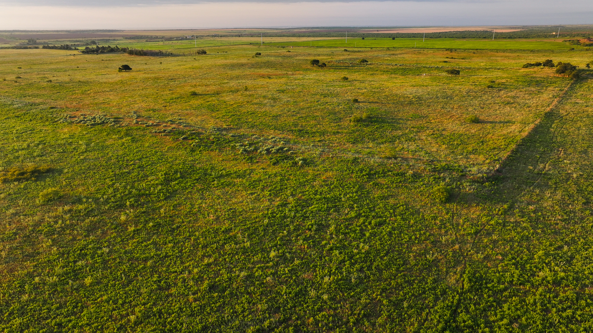 Potential High Income Producing Ranch in Hardeman County