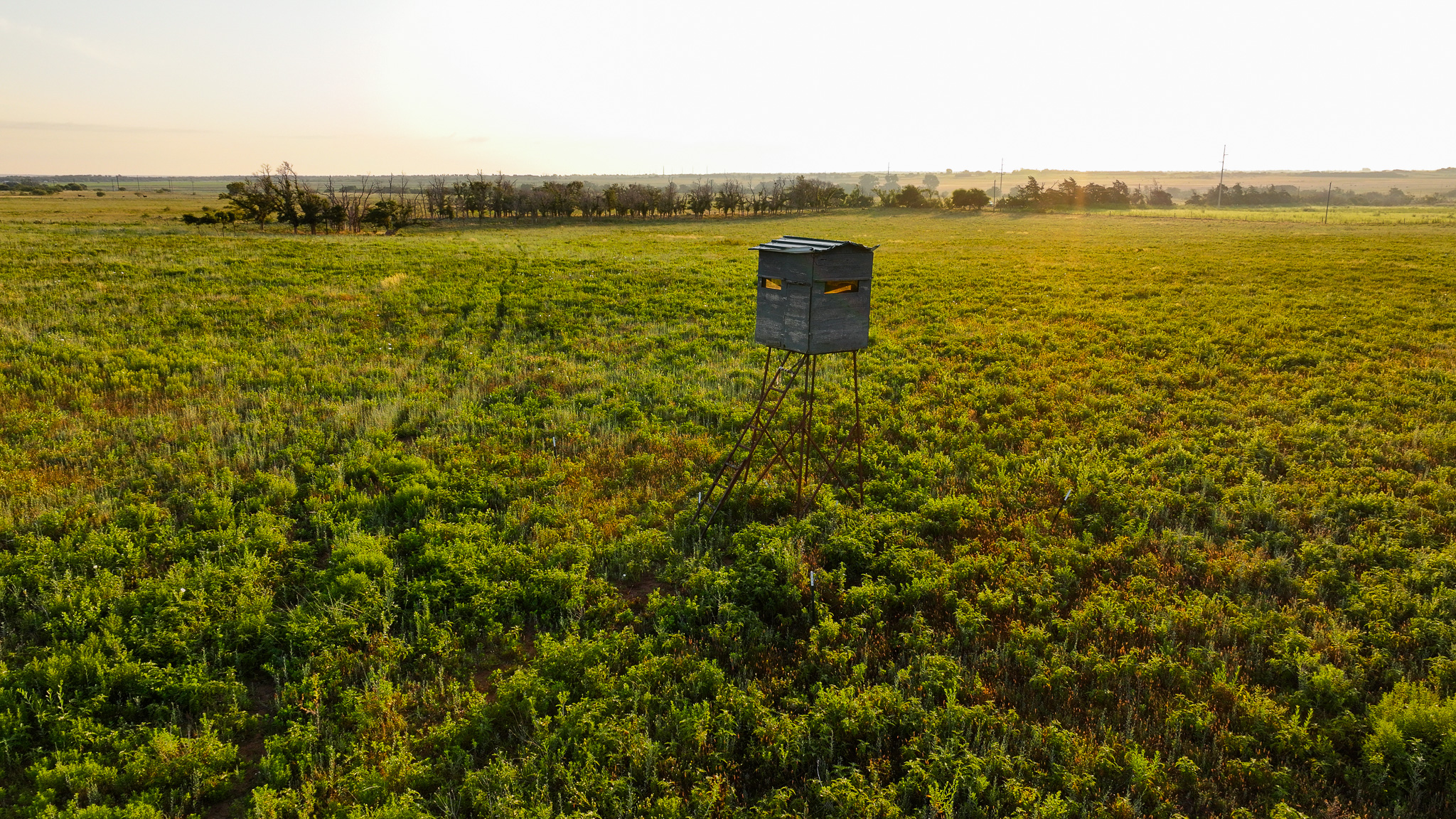 Potential High Income Producing Ranch in Hardeman County