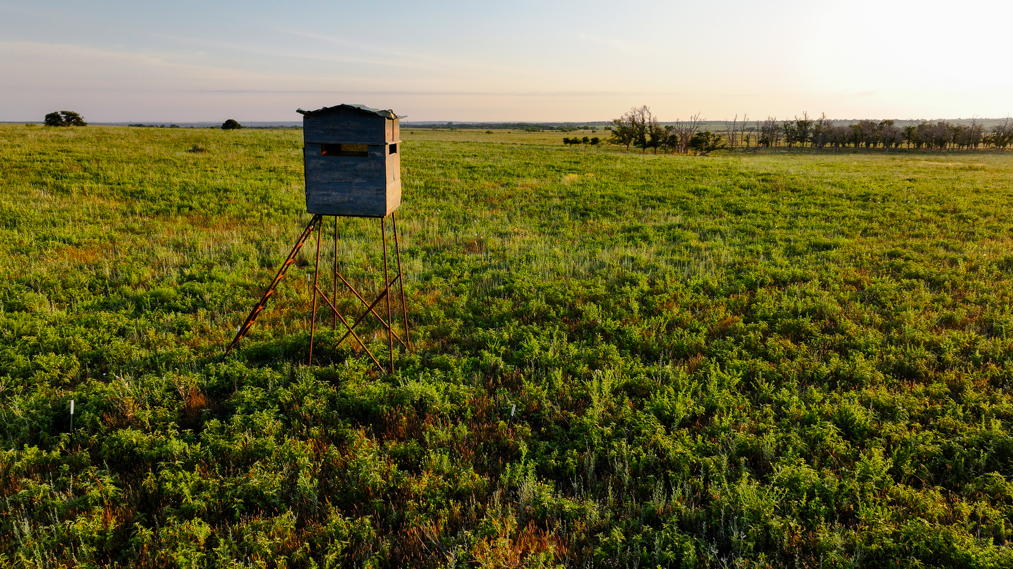 Potential High Income Producing Ranch in Hardeman County