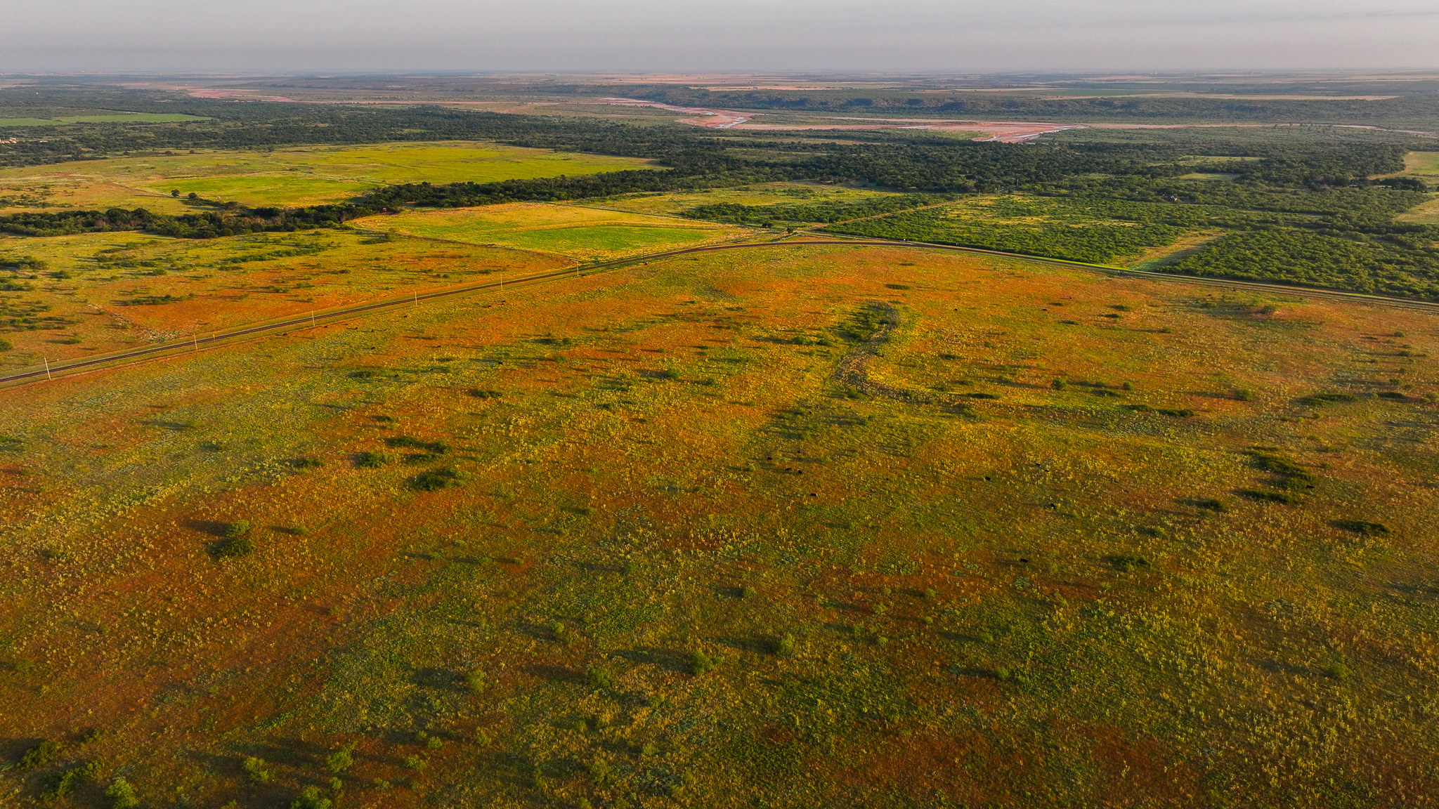 Potential High Income Producing Ranch in Hardeman County