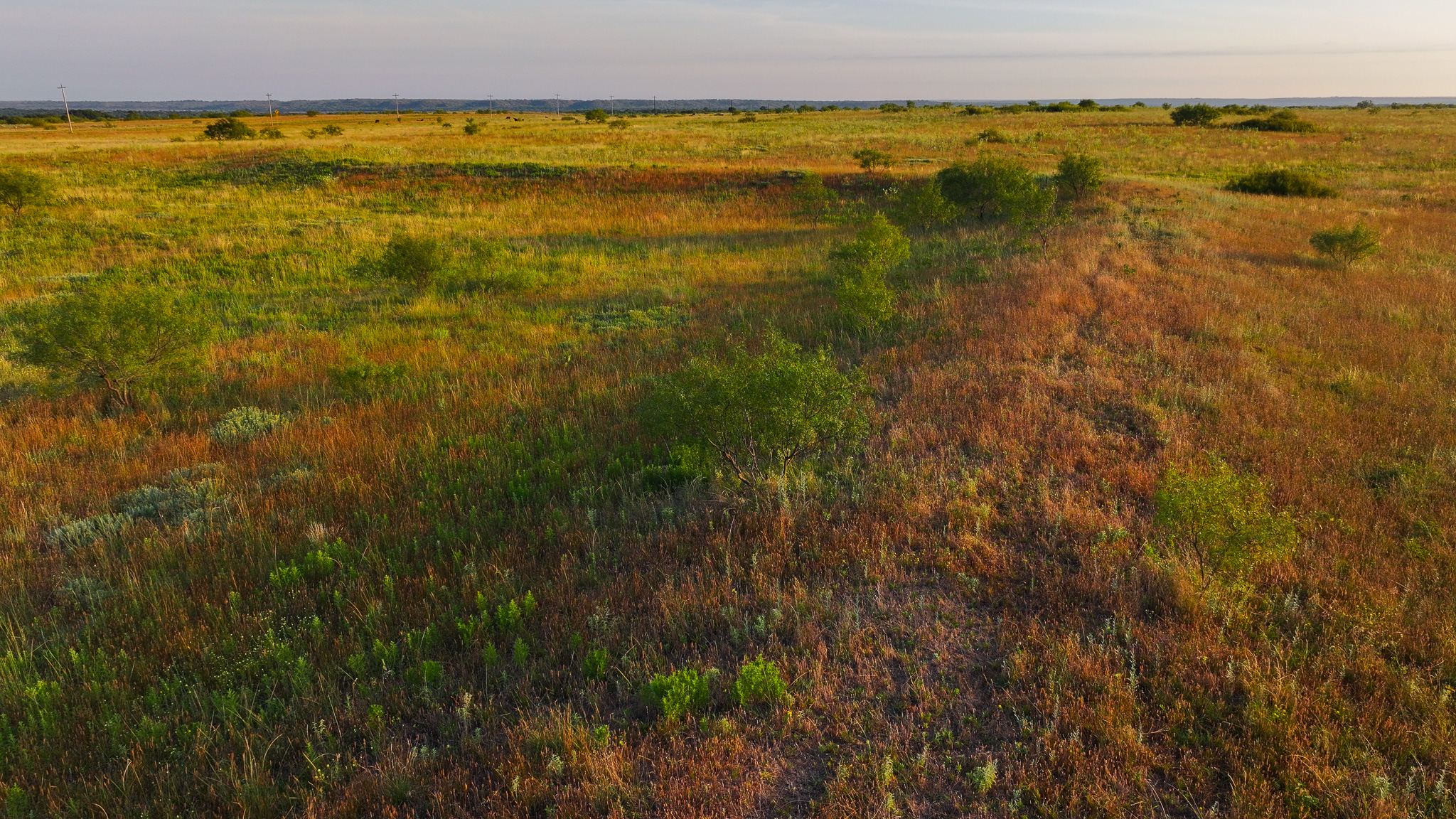 Potential High Income Producing Ranch in Hardeman County