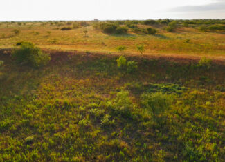 Potential High Income Producing Ranch in Hardeman County