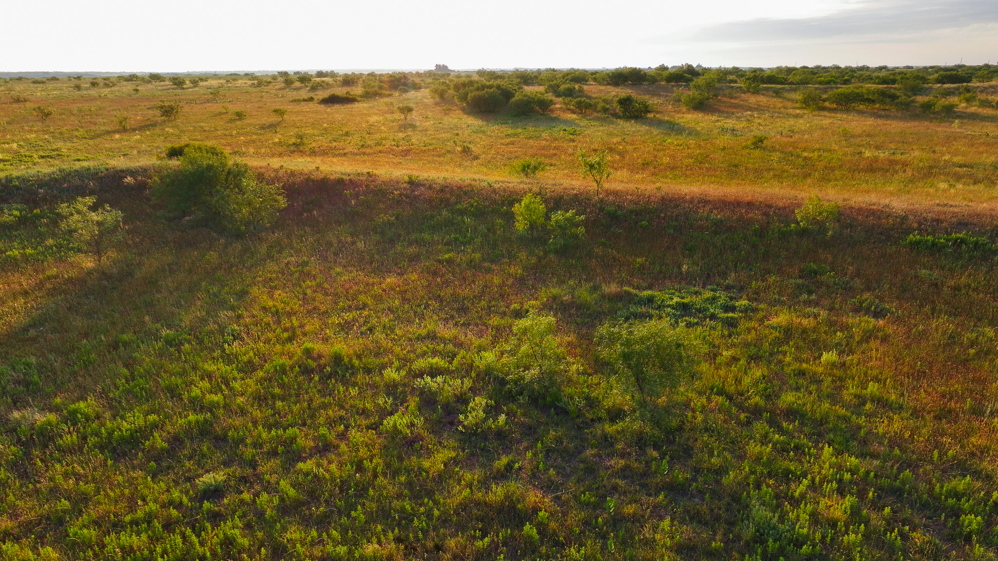 Potential High Income Producing Ranch in Hardeman County