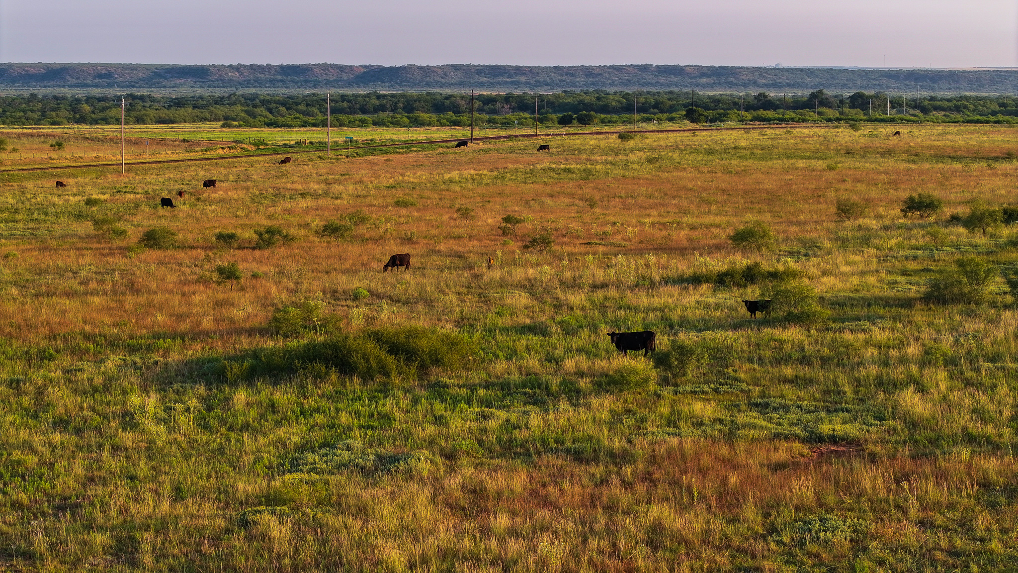 Potential High Income Producing Ranch in Hardeman County