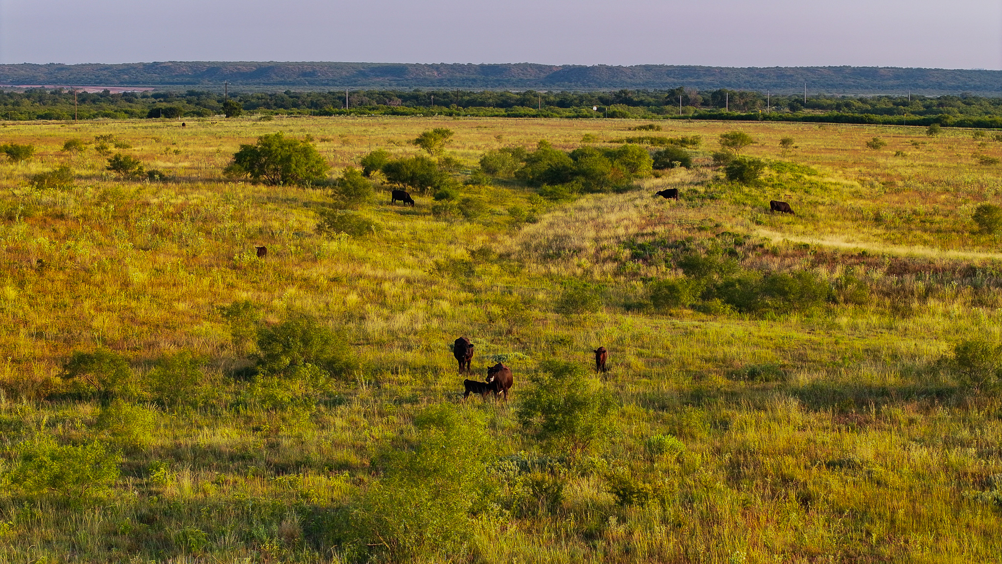 Potential High Income Producing Ranch in Hardeman County