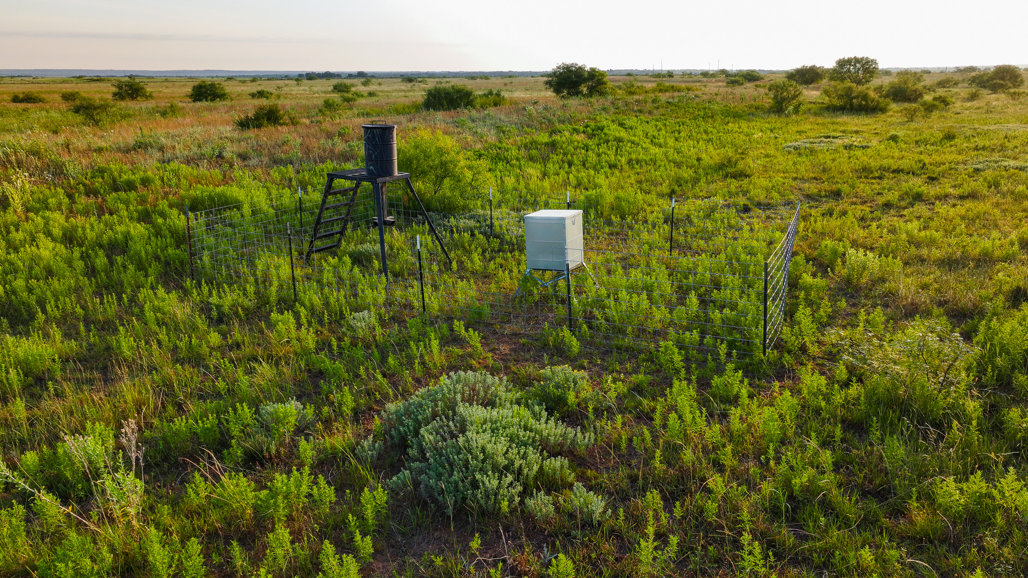Potential High Income Producing Ranch in Hardeman County