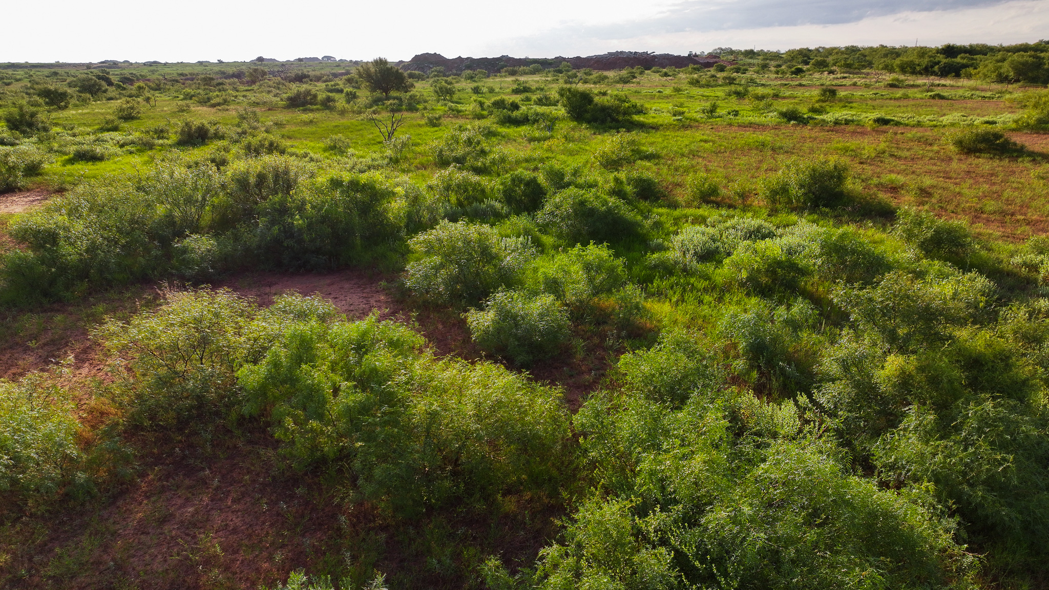 Potential High Income Producing Ranch in Hardeman County