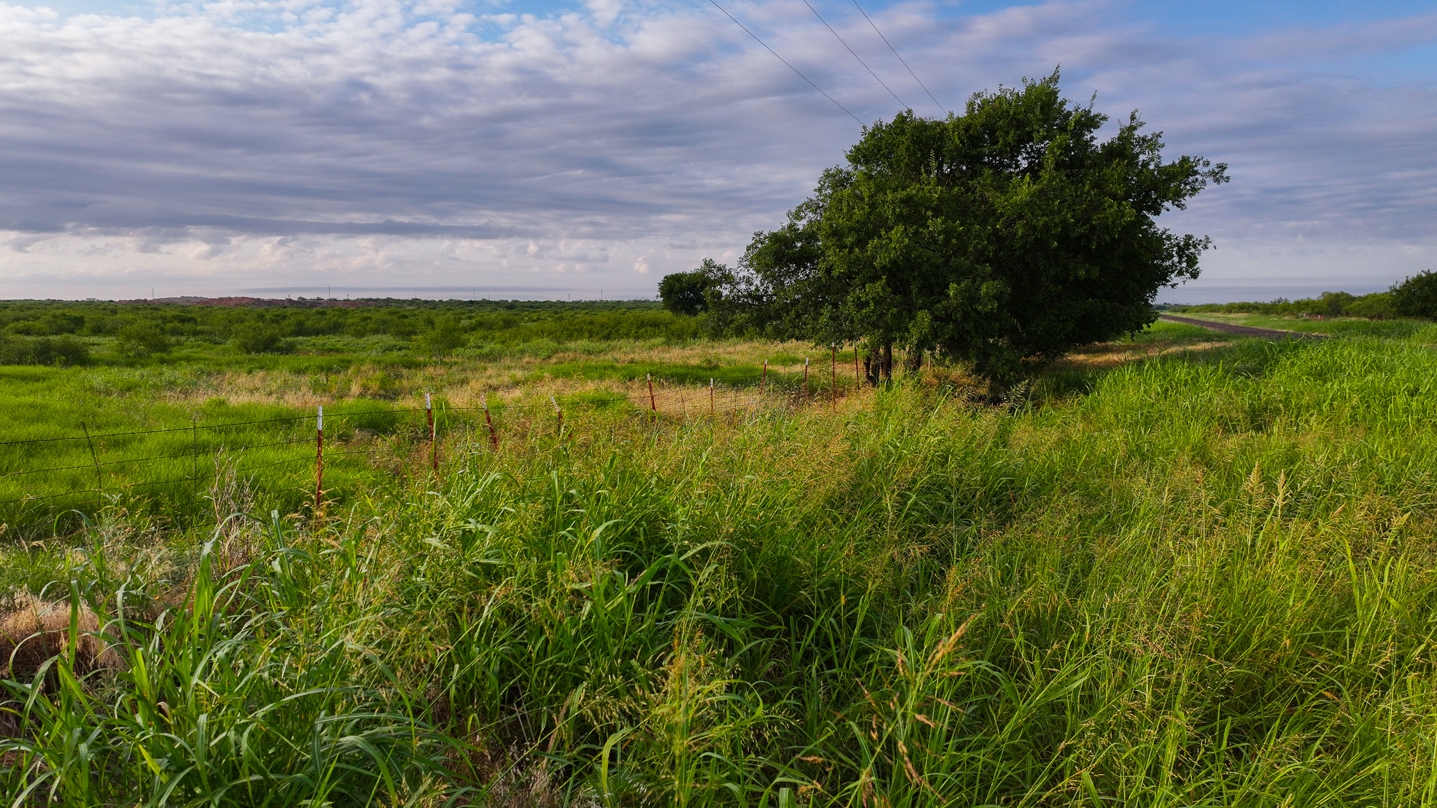 Potential High Income Producing Ranch in Hardeman County