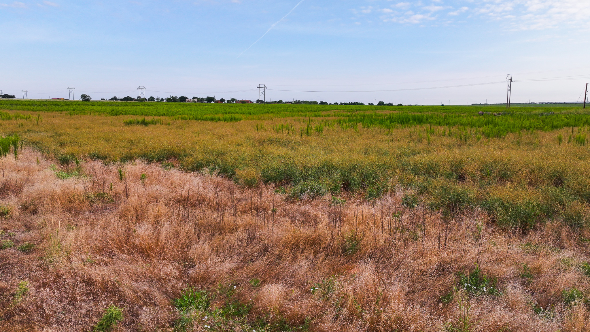93 acres on Hwy 287 in Hardeman County, Texas  TBD Hwy 287, Quanah, Texas, 79252