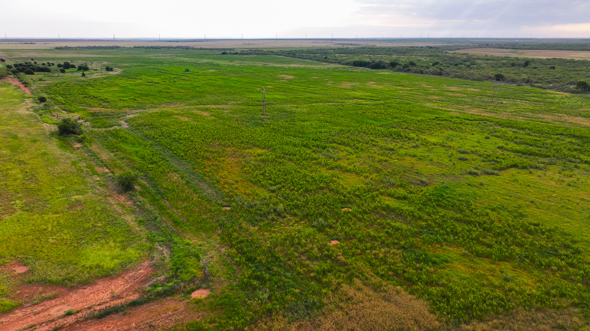 93 acres on Hwy 287 in Hardeman County, Texas  TBD Hwy 287, Quanah, Texas, 79252