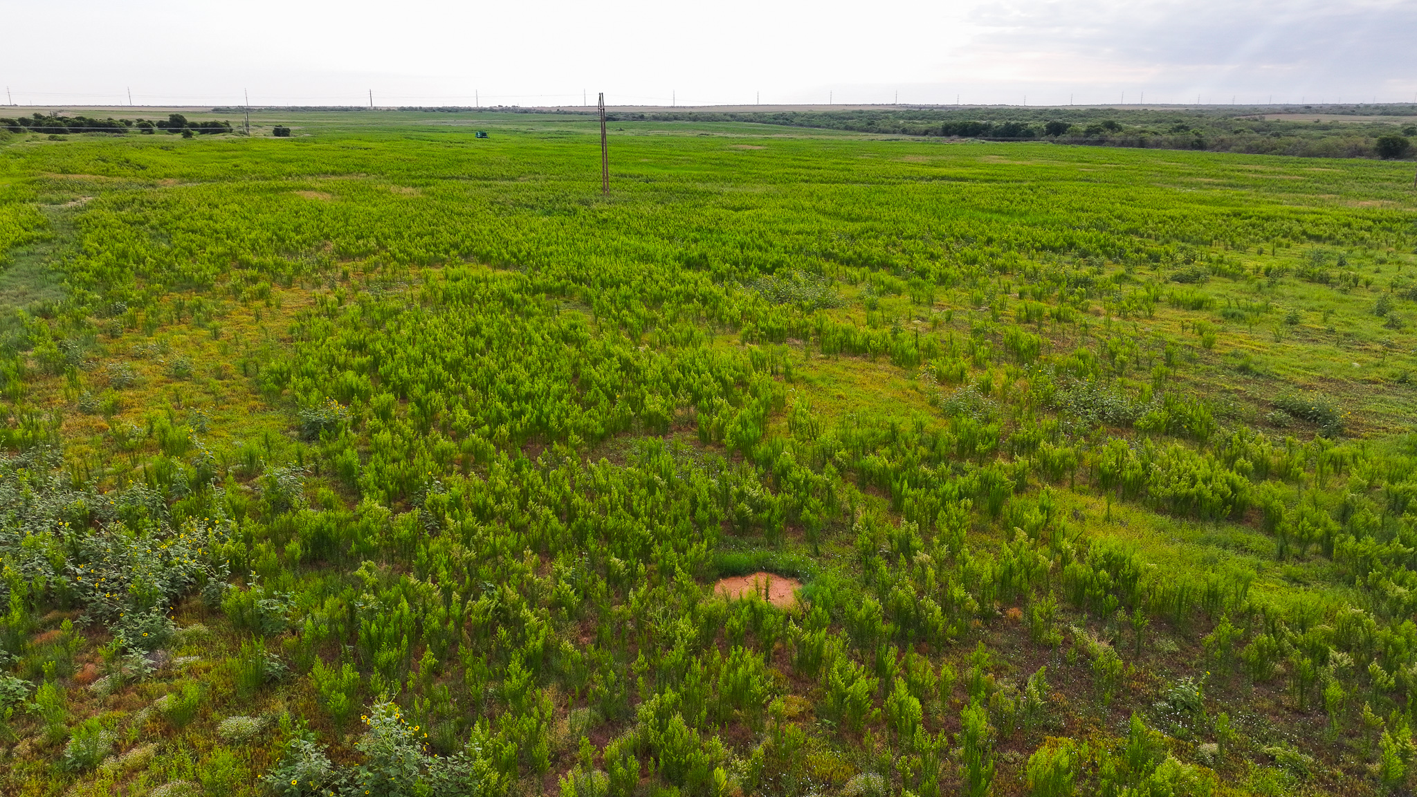 93 acres on Hwy 287 in Hardeman County, Texas  TBD Hwy 287, Quanah, Texas, 79252