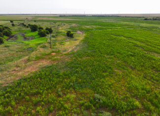 93 acres on Hwy 287 in Hardeman County, Texas TBD Hwy 287, Quanah, Texas, 79252