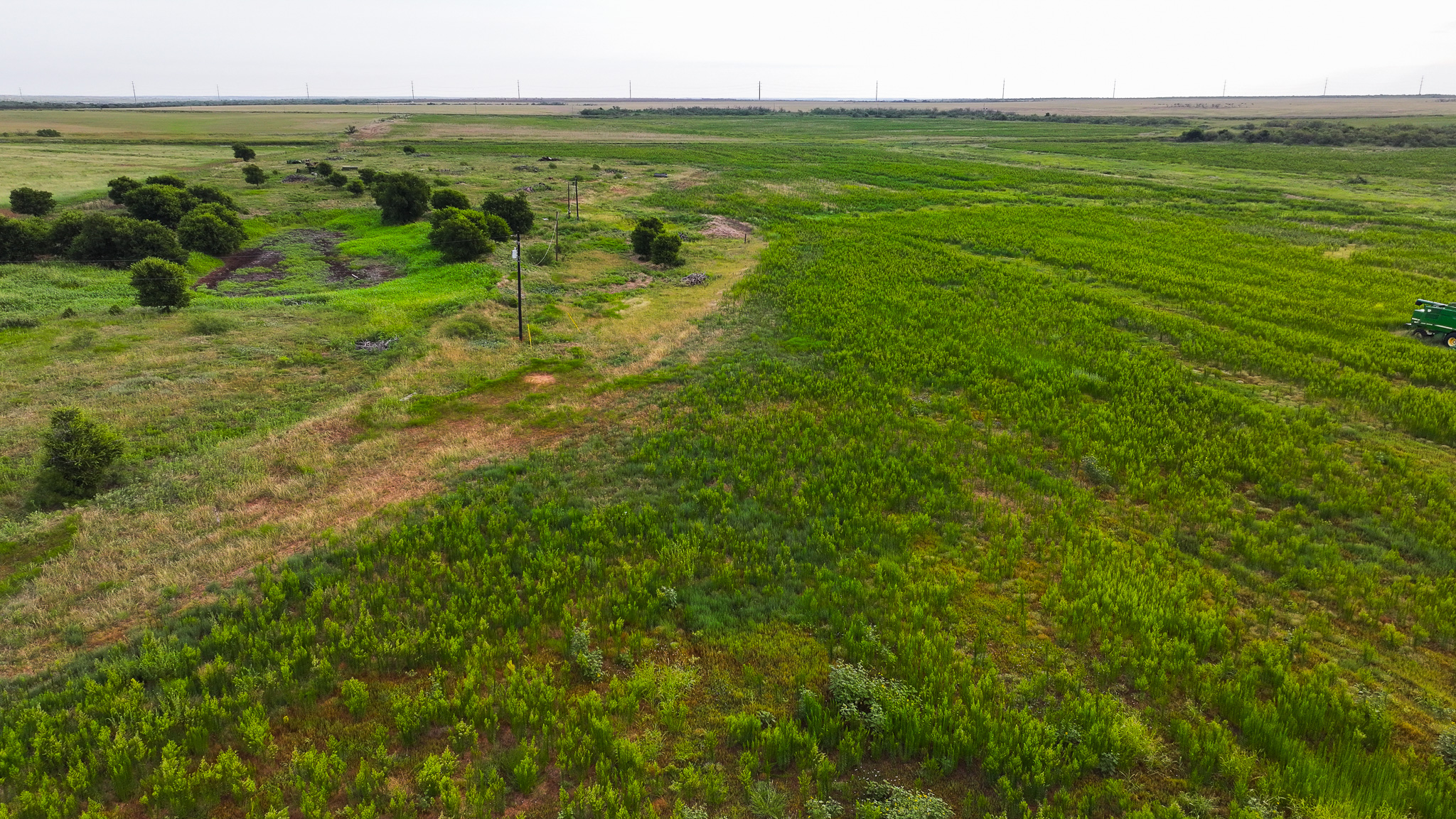 93 acres on Hwy 287 in Hardeman County, Texas  TBD Hwy 287, Quanah, Texas, 79252