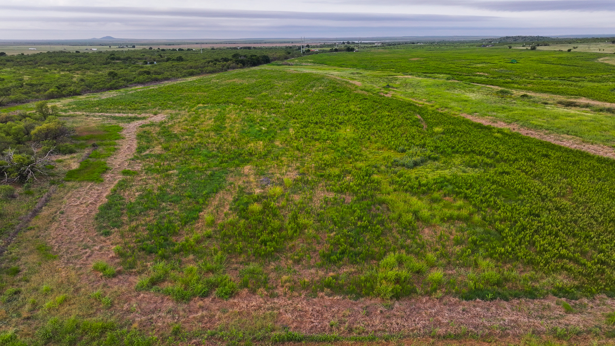 93 acres on Hwy 287 in Hardeman County, Texas  TBD Hwy 287, Quanah, Texas, 79252