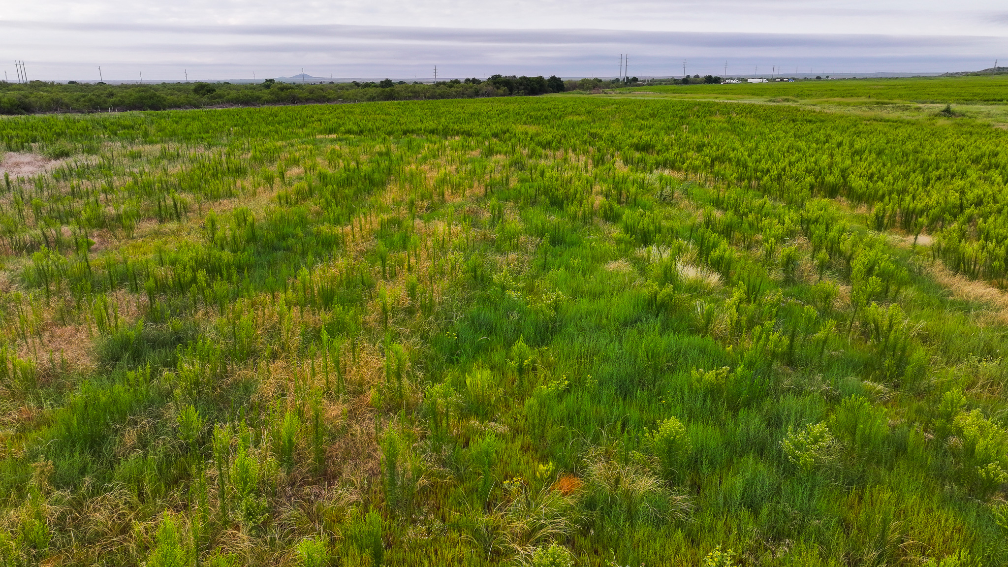 93 acres on Hwy 287 in Hardeman County, Texas  TBD Hwy 287, Quanah, Texas, 79252